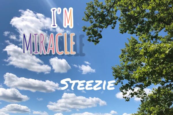 Steezie – I’m Miracle.mp3 | Free download on 9jaflix.net